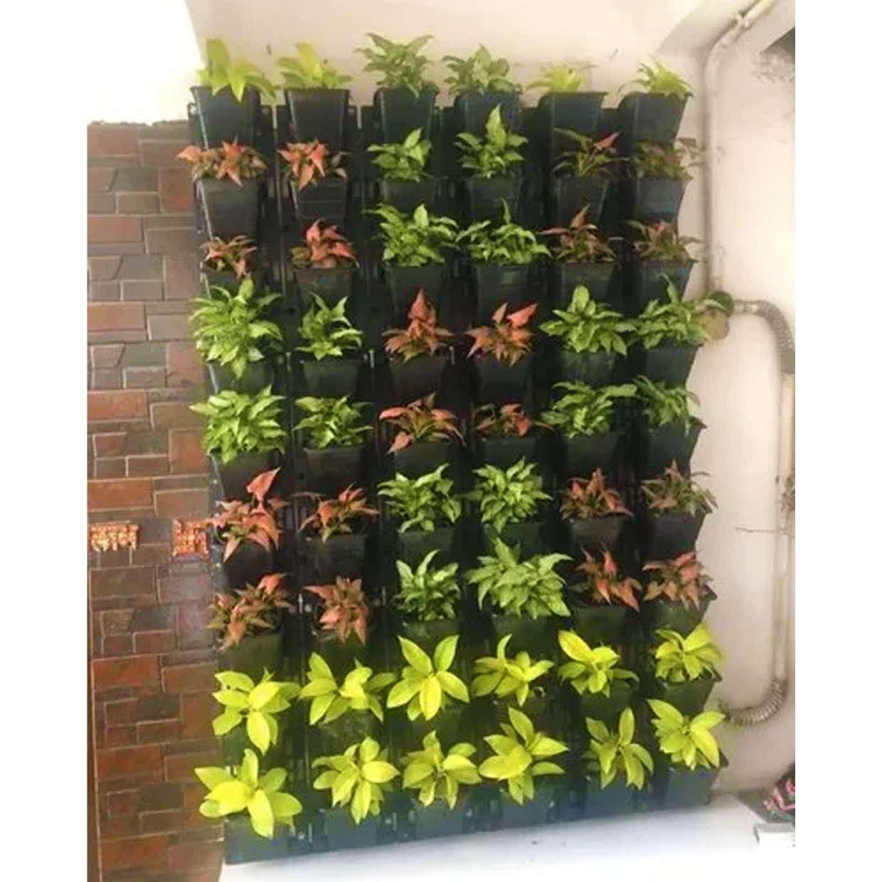 Ghar Sansar - Natural Vertical Grass 13